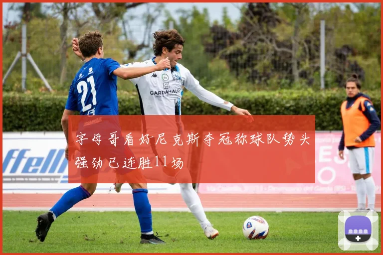 字母哥看好尼克斯夺冠称球队势头强劲已连胜11场